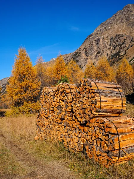 Cutting wood natural wall — Stock Photo, Image
