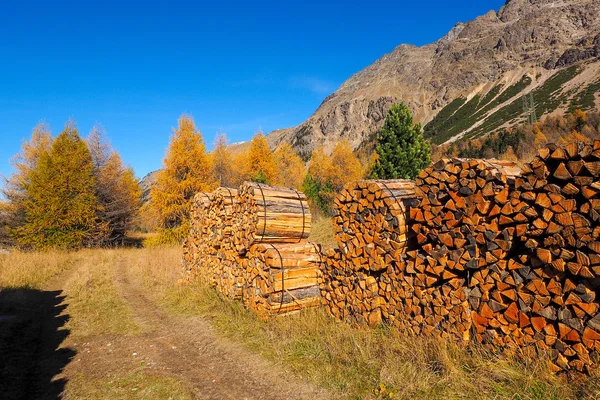 Corte de madera en los Alpes Fotos de stock libres de derechos