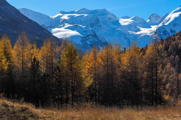 Montagnes alpines en automne Photos De Stock Libres De Droits