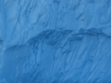 buzdağı karşı uçan kuş