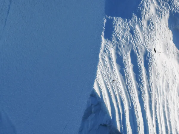 Madarak repülő ellen jéghegy — Stock Fotó