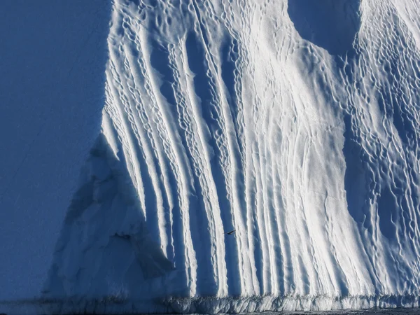 Bird flying against iceberg — Stock Photo, Image