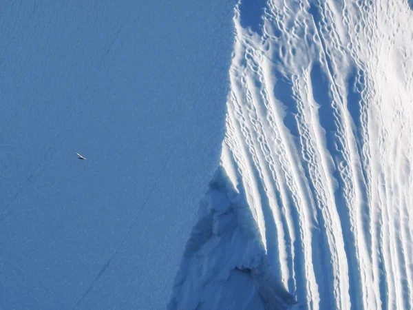 Bird flying against iceberg — Stock Photo, Image