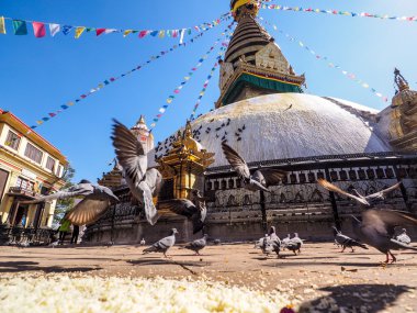 Katmandu'da boudhanath stupa