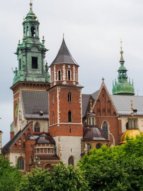 Krakow 'daki Wawel Katedrali