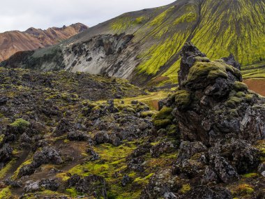 landmannalaugar fjallabak doğa rezerv