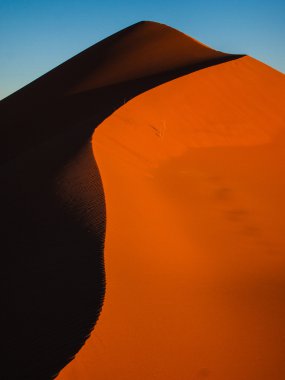 sahara çöl kumulları