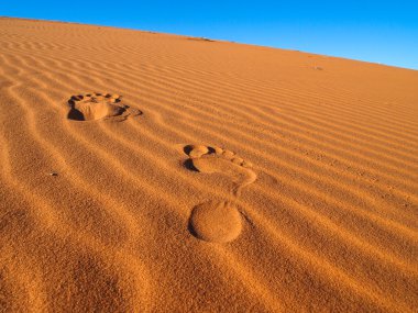 Sand dunes in Sahara Desert clipart