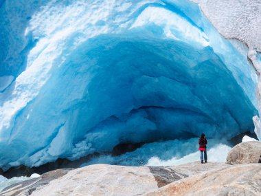 nigardsbreen Buzulu