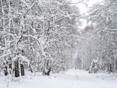 snowy orman içinde yalnız bir adam
