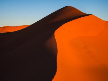 sahara çöl kumulları