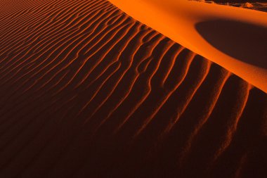 sahara çöl kumulları