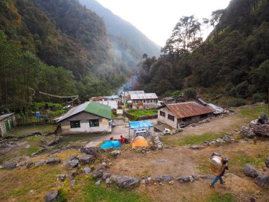 Jungle Lodge