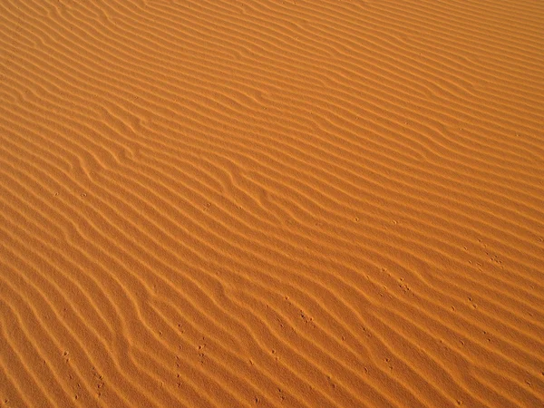 Sanddünen in der Wüste Sahara — Stockfoto