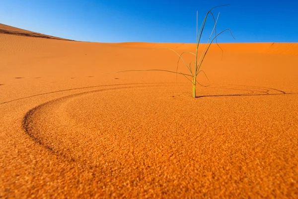 หุบเขาทรายในทะเลทรายซาฮารา — ภาพถ่ายสต็อก