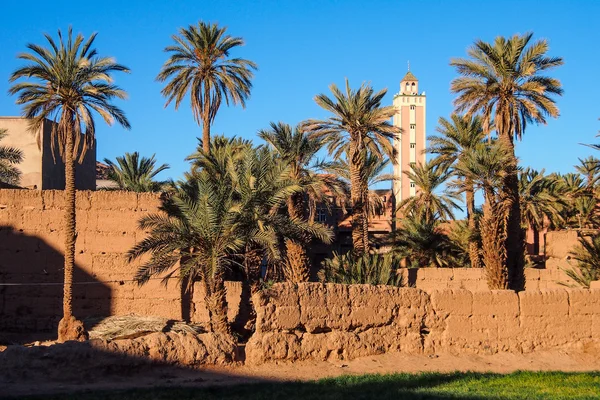 Schlammmauer, Minarett und Oase — Stockfoto