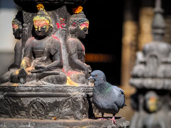 Buddha staty - nepal — Stockfoto