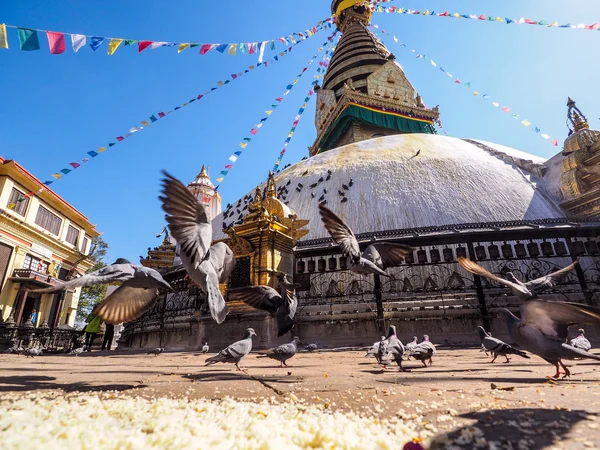 Stupy Boudhanath w kathmandu — Zdjęcie stockowe