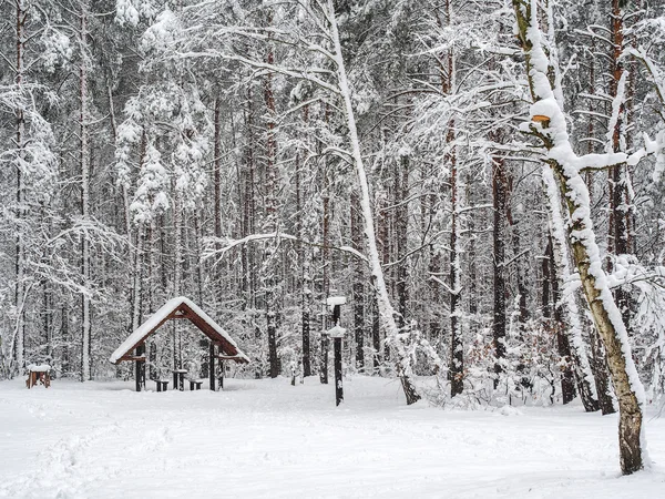 Small shelter in snowy forest — Stock Photo, Image