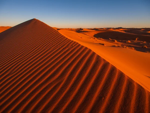 Písečné duny v poušti sahara — Stock fotografie