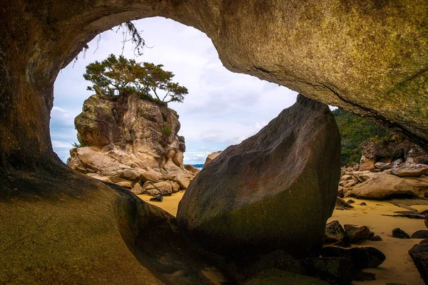 Rock shore i abel tasman park — Stockfoto