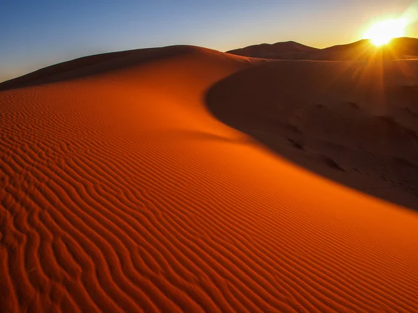 Písečné duny v poušti sahara — Stock fotografie