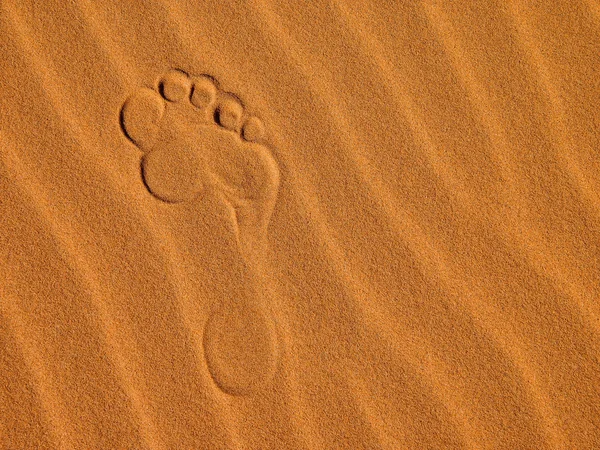 Sanddünen in der Wüste Sahara — Stockfoto