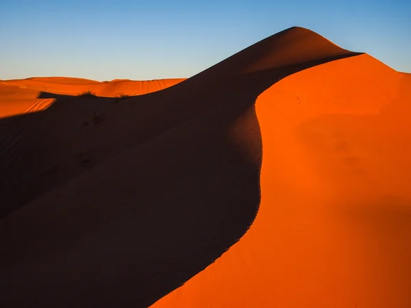 Písečné duny v poušti sahara — Stock fotografie