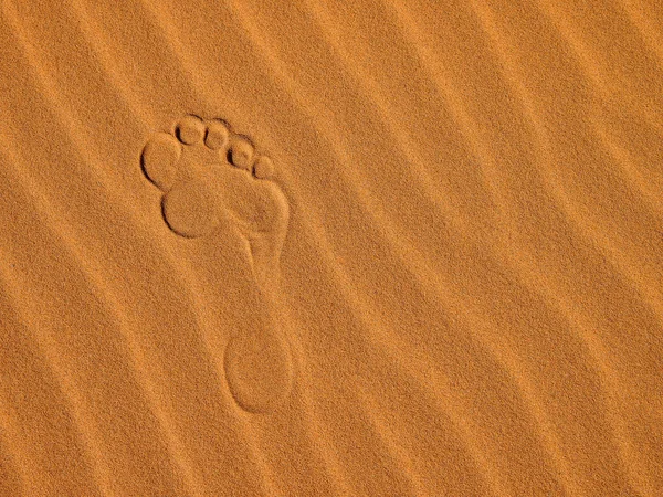 Dune di sabbia nel deserto del Sahara — Foto Stock