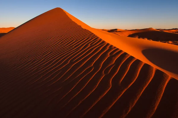 Písečné duny v poušti sahara — Stock fotografie