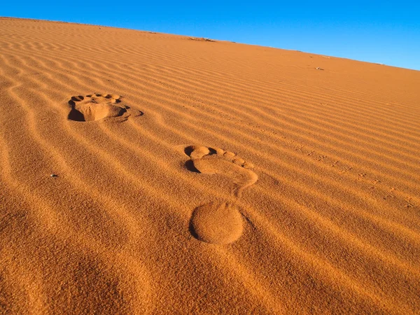 Sanddünen in der Wüste Sahara — Stockfoto