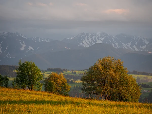 Summer sunrise mountain village — Stock Photo, Image