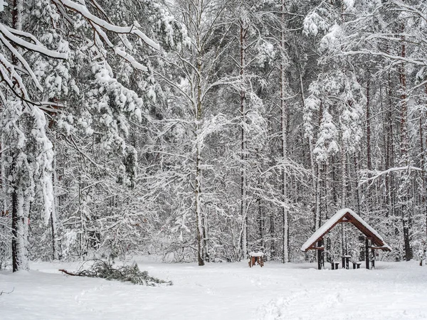 Kleine schuilplaats in besneeuwde bos — Stockfoto