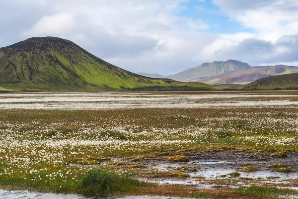 Landmannalaugar fjallabak 自然保护区 — 图库照片