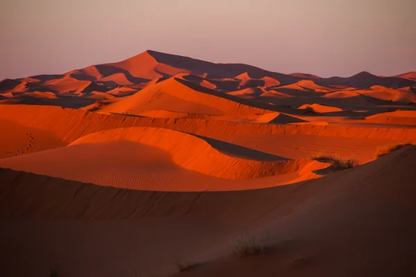 Písečné duny v poušti sahara — Stock fotografie