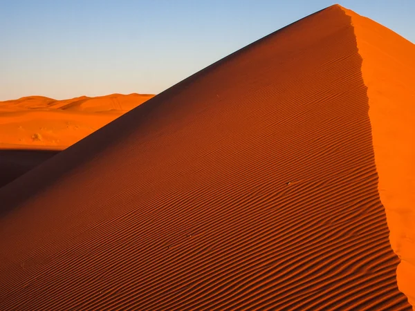 Sand dunes in Sahara Desert — Stock Photo, Image