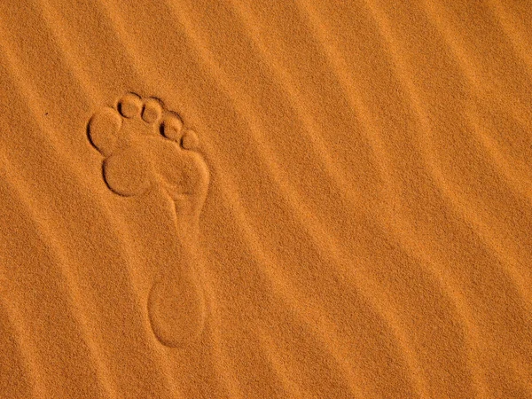 Zandduinen in de Saharawoestijn — Stockfoto