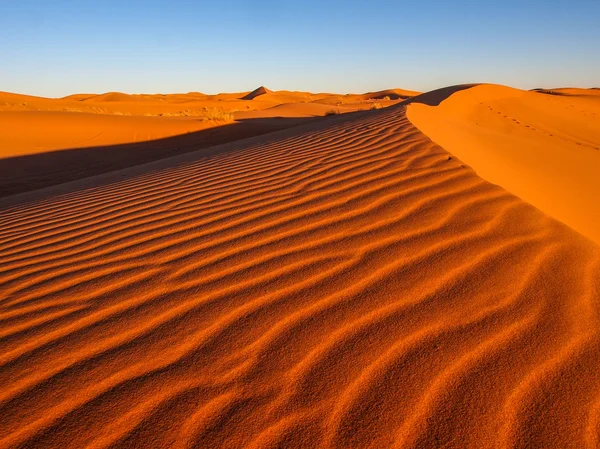 Písečné duny v poušti sahara — Stock fotografie