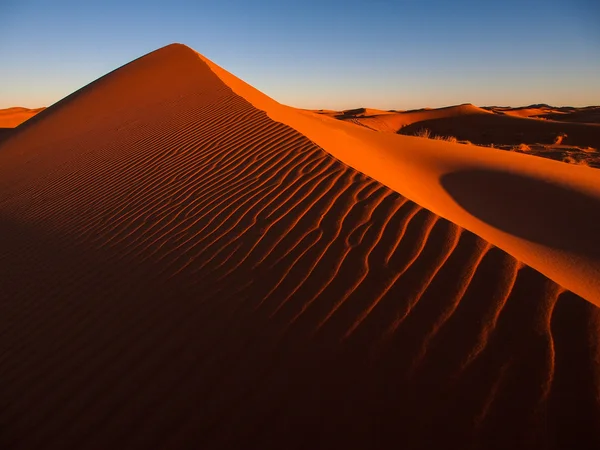Песчаные дюны пустыни Сахары — стоковое фото