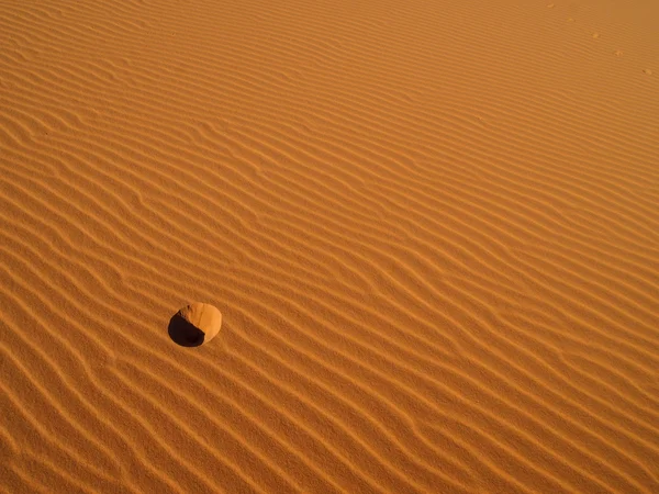 Dune di sabbia nel deserto del Sahara — Foto Stock