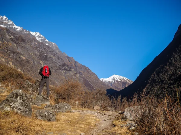 Trekkers caminando en la región de Langtang — Foto de Stock