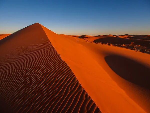 Písečné duny v poušti sahara — Stock fotografie