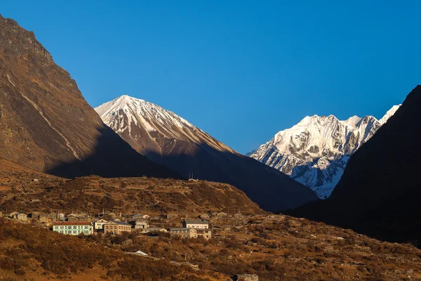 Tserko RI — Stok fotoğraf