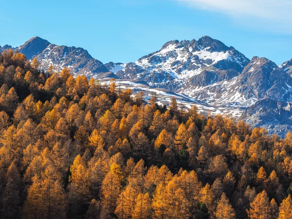 Alp mountains in autumn — Stock Photo, Image