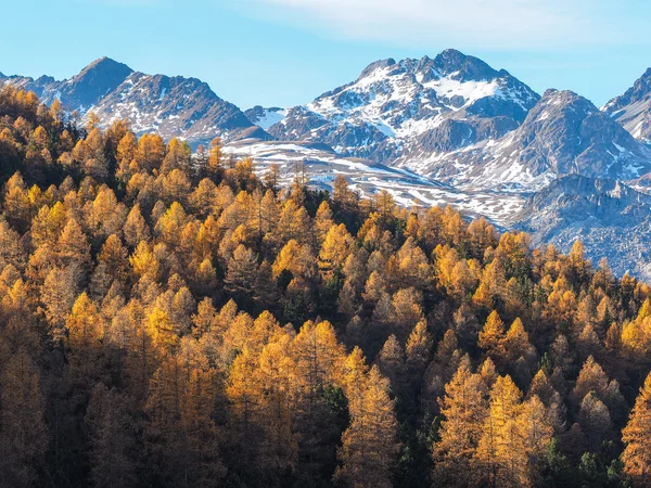 Montagne alpine in autunno — Foto Stock