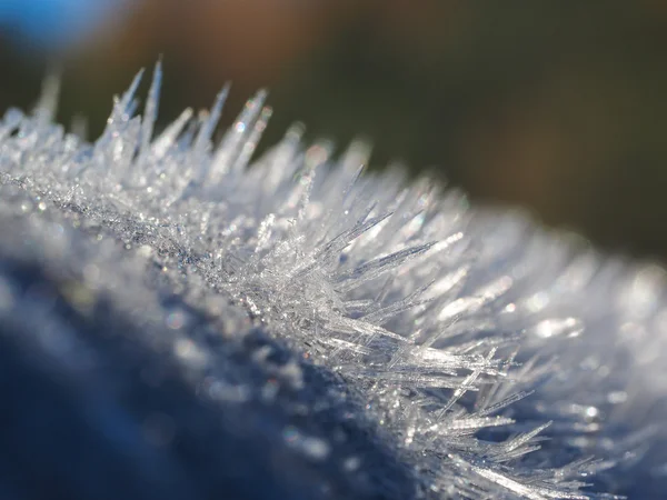 Wooden fence covered with ice — Stock Photo, Image