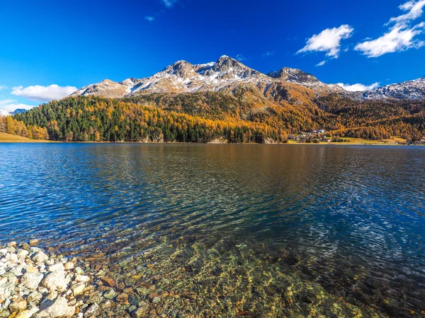 Höstens reflektioner kring sjön Silvaplana — Stockfoto