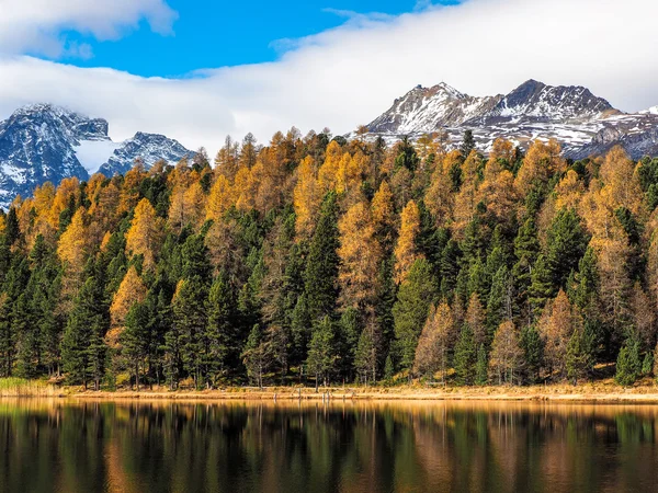 Höstens reflektioner kring sjön Silvaplana — Stockfoto