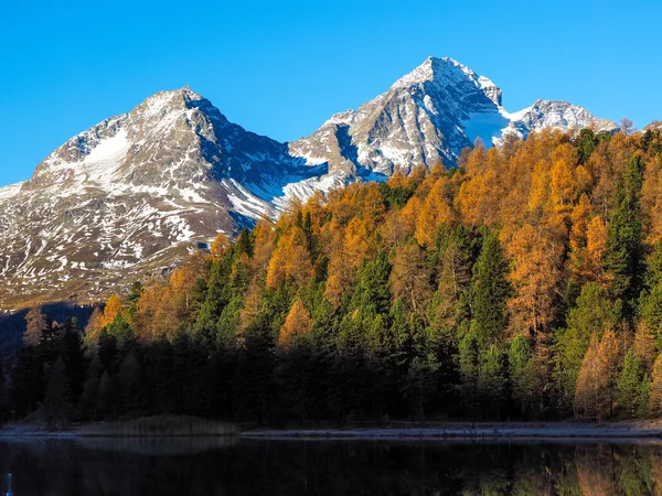 Lacul Lej da Staz — Fotografie, imagine de stoc