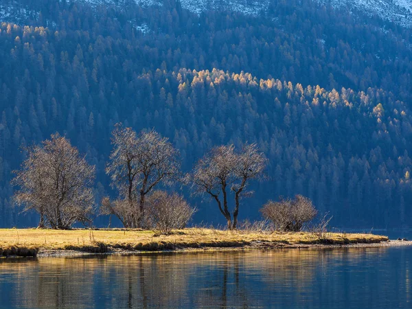 Альпійські гори восени — стокове фото